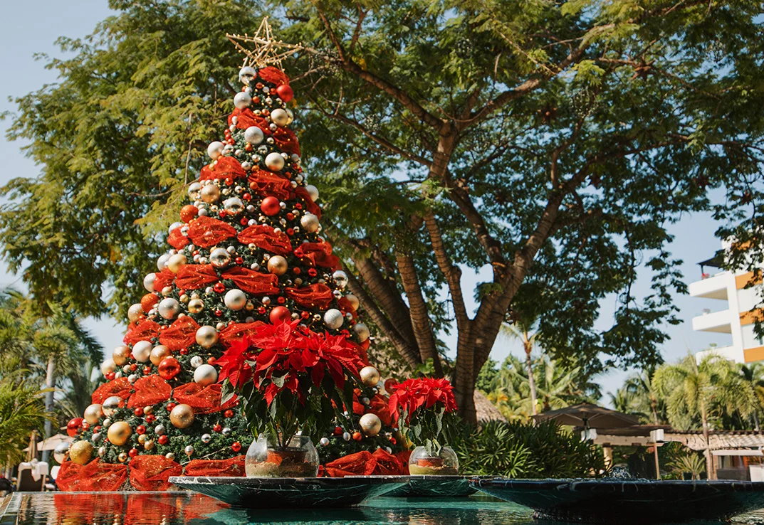 The holidays, with room <em>for everyone</em>