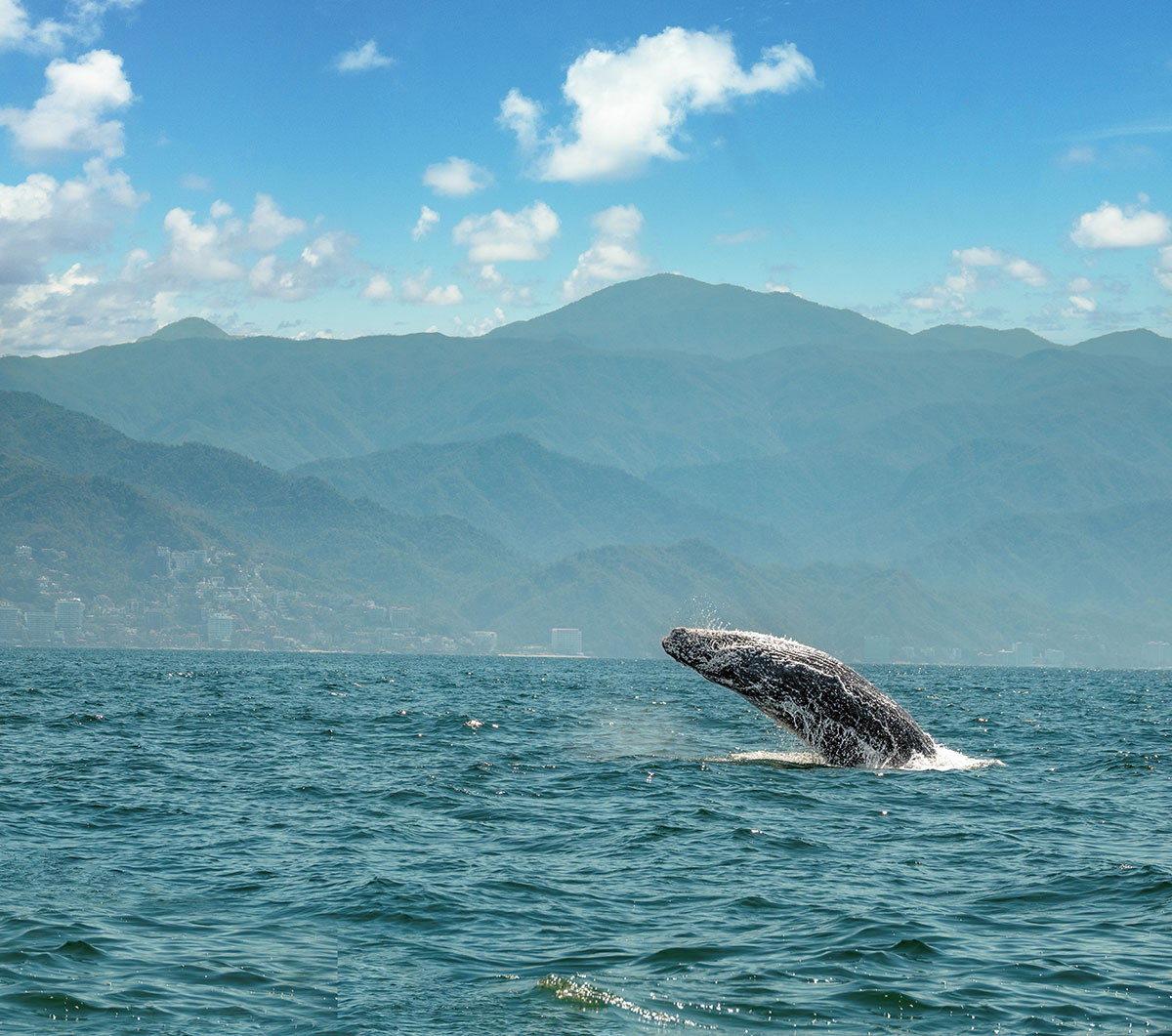 why-americans-are-traveling-more-to-riviera-nayarit-00.jpg